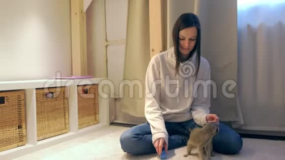 女人和猫鼬在孩子的房间里坐在地板上视频的预览图