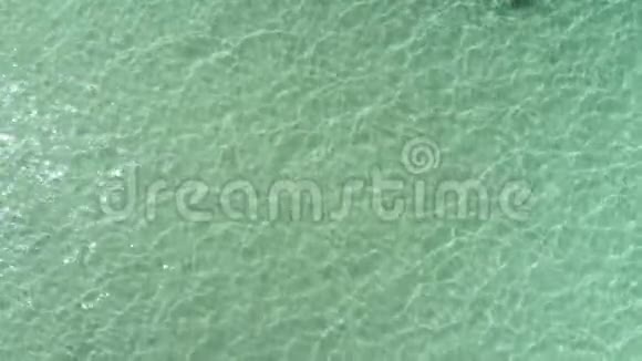 在多米尼加共和国蓬塔卡纳的透明绿松石加勒比海游泳的美丽女子的空中景色夏天视频的预览图