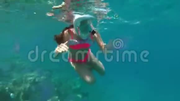 少女在红色的海洋中游泳在紫色水母之间戴着一个完整的面罩浮潜水母视频的预览图