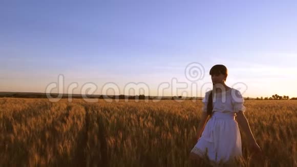 快乐的女孩长着长发带着金色的小麦穿过田野在夕阳的光芒和微笑中奔跑慢动作视频的预览图