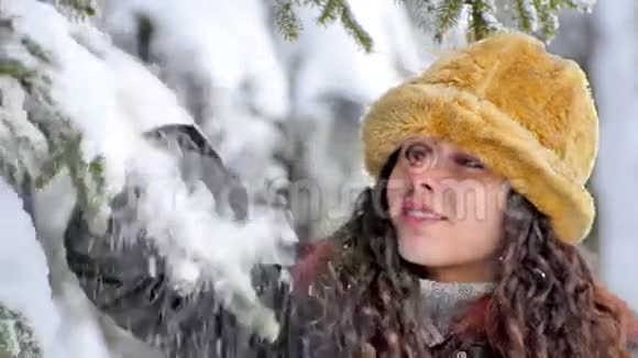 微笑的冬天少年站在松树下雪落在她身上视频的预览图