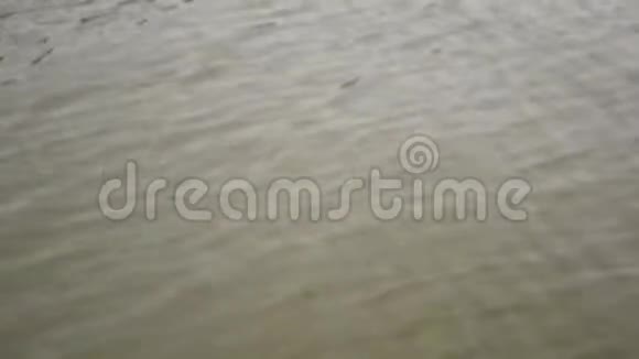 移动沿着水面移动湖泊视频的预览图