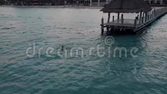 一名男子在坎昆的一个木码头旁的热带海洋中游泳视频的预览图
