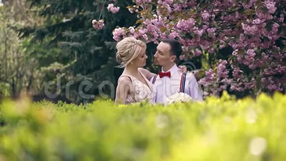 年轻漂亮的情侣新婚拥抱相视一眼站在朵朵樱花下春天阳光明媚的一天婚礼视频的预览图