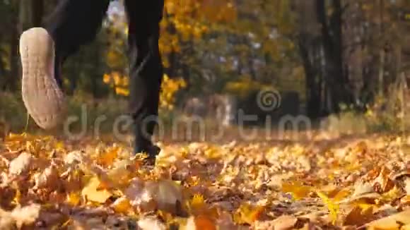 不可辨认的运动员跑在秋天的公园踩在干燥的枫叶上男子跑步者慢跑彩色摔倒视频的预览图