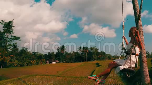 在美丽的稻田背景下摇摆的女性的空中侧景视频的预览图