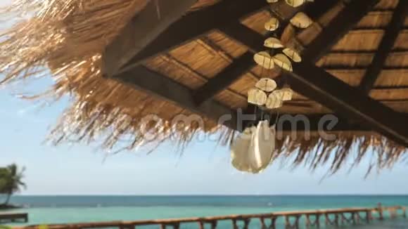 在泰国美丽的海滩上一只贝壳手机随风摇摆一只贝壳流动随风荡在美丽的贝上视频的预览图