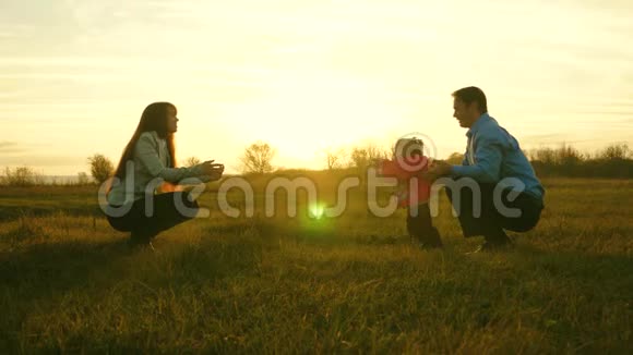 爸爸妈妈和他们的女儿在日落时在草地上玩家庭幸福的概念宝宝从爸爸到妈妈都去草坪视频的预览图