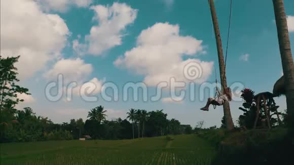 在美丽的稻田背景下摇摆的女性的空中侧景视频的预览图