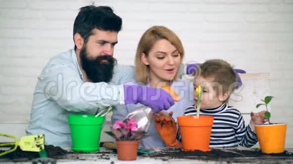 父亲把儿子和母亲刚种的花倒在地上种花的概念家庭用植物视频的预览图
