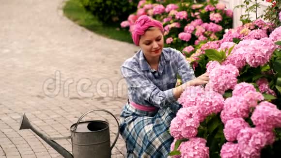 快乐的女人在花园里照顾花在花园中心浇花绣球花春季和夏季视频的预览图