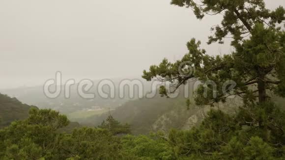 雾中绿峡山上美景淘拍视频的预览图