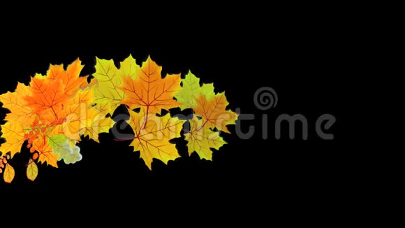阿尔法通道动画的叶子风的影响树叶发展和下降到底部秋季销售视频的预览图