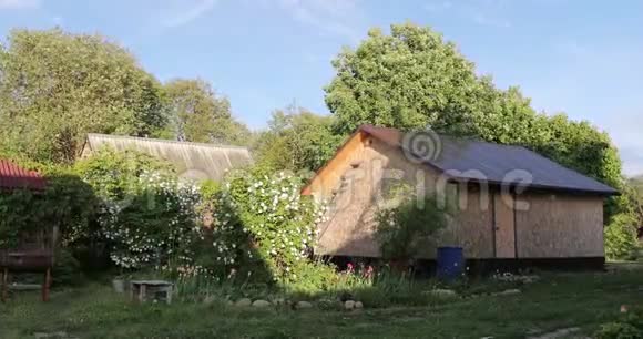 夏日小屋和院子里的植物视频的预览图