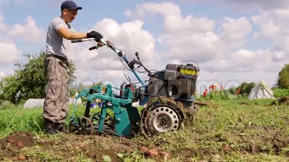 一个人用手拖拉机挖土豆挖土豆的设备带有马铃薯挖掘机的马达块视频的预览图