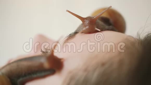 两只蜗牛吃死皮在水疗中心的一位年轻女士身上用蜗牛做面部按摩视频的预览图