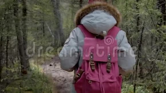 一个灰色公园的女孩正沿着一条小径走在茂密的松林特写的4k视频的预览图