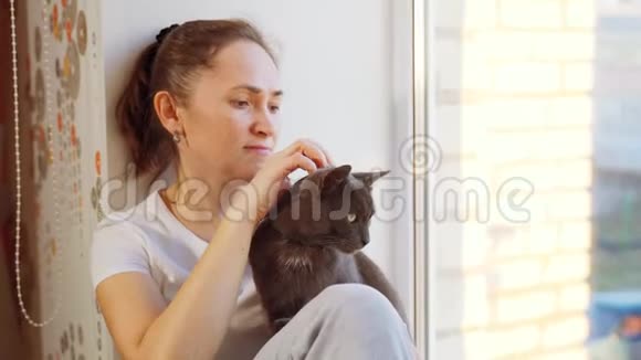 一个穿着白色T恤的女人正坐在窗台上戴着一只灰色的猫视频的预览图