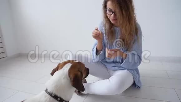 爱动物的概念快乐的年轻女人在家玩她可爱的小狗视频的预览图