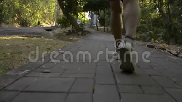 后背低角度视角的女性徒步旅行者步行背包通过热带雨林视频的预览图