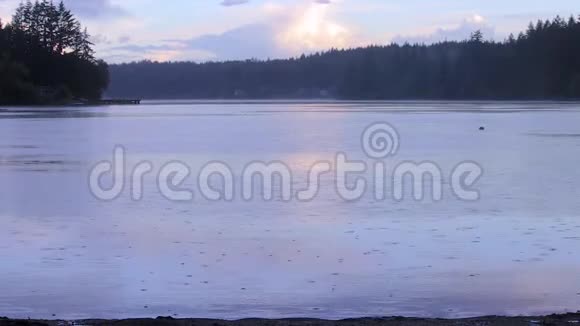 湖面上的雨视频的预览图