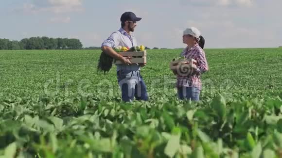 一个男人和一个女人在一个绿色的田野中间有一盒蔬菜视频的预览图