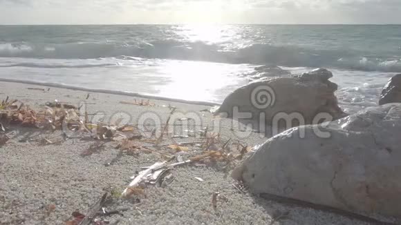 带海波的白色石英砂颗粒海岸上的正色海草叶和石灰岩岩石的背光视角视频的预览图