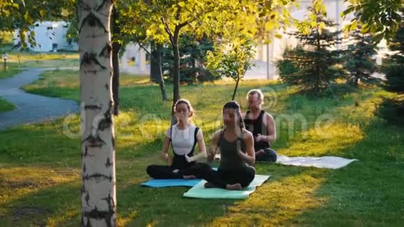 两位年轻女性在公园里和教练一起在阳光下做瑜伽练习一位女士长着蓝色视频的预览图