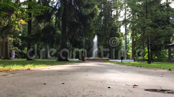 城市公园的公共喷泉视频的预览图