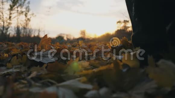 不可辨认的运动员在秋天公园慢跑踩在干燥的枫叶上日落时男性运动员自然训练视频的预览图