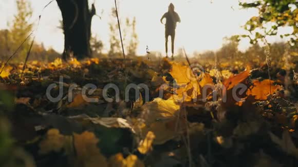 男运动员在秋天公园慢跑踩着干枫叶年轻人在日落时在大自然中训练明亮明亮视频的预览图