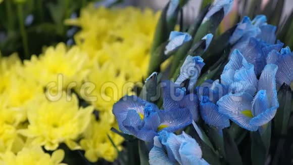 蓝色令人惊叹的花虹膜与水滴在花店出售近距离观看视频的预览图