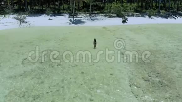 在菲律宾白沙滩和绿松石水中间的女人身上站着的无人机视频的预览图