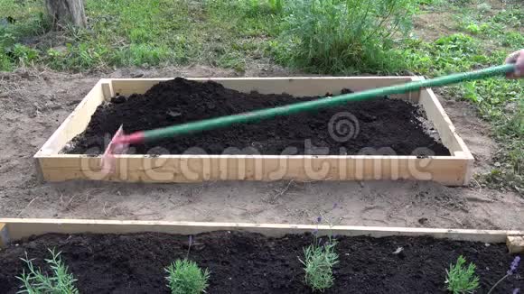 红色耙黑色土壤腐殖质的园丁在新的木质花圃视频的预览图