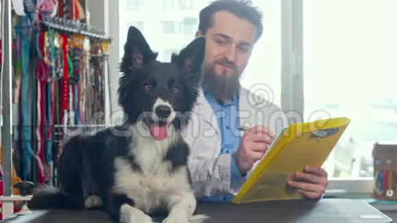 可爱快乐健康的狗在检查台上休息兽医在后面工作视频的预览图