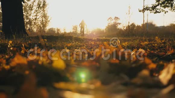在日落的背景下戴着头巾的人骑着自行车穿过秋天的森林运动的家伙在户外骑自行车明亮的阳光视频的预览图