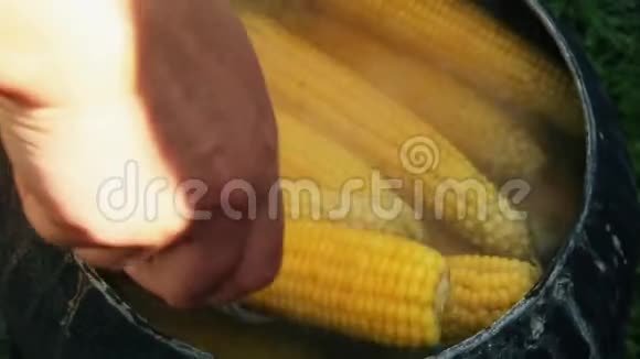 女人的手把玉米放在盘子上视频的预览图