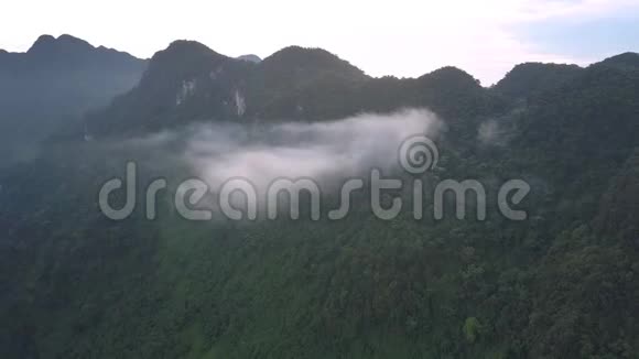 浓雾笼罩在陡峭的森林山空中视频的预览图