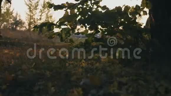 男子运动员穿过秋天的公园踩着干枯的落叶日落时分在户外训练阳光明媚视频的预览图