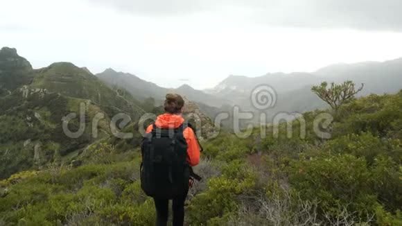 年轻女子在高山上漫步在美丽的风景中漫步在仙人掌和热带植物之间旅游路线上的女士视频的预览图