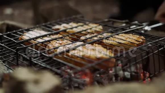 户外朋友聚会烧烤炉上美味的烧烤食品视频的预览图