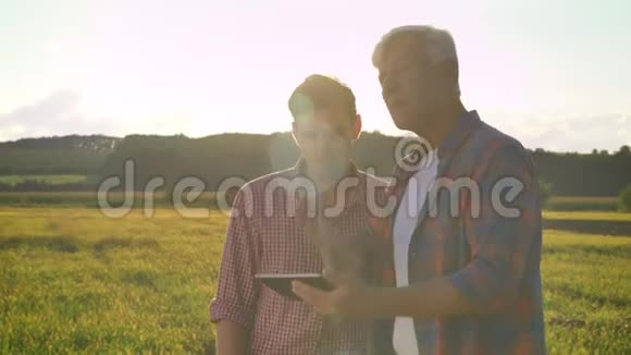 老农在平板电脑上打字向他的继承人展示麦田教儿子农业期间景色优美视频的预览图
