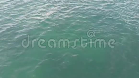 镜头向前飞从上往下看海浪海水荡漾空中观景海的背景这就是视频的预览图