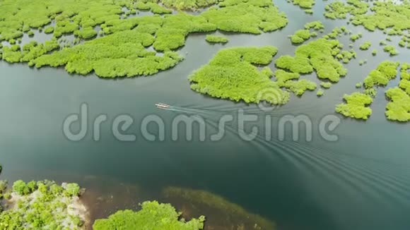 有红树林的宽阔河流俯视一艘摩托艇正沿着热带树木航行视频的预览图