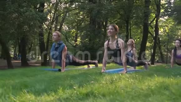 公园里的瑜伽一群混龄女性在日落时做姿势慢动作视频的预览图