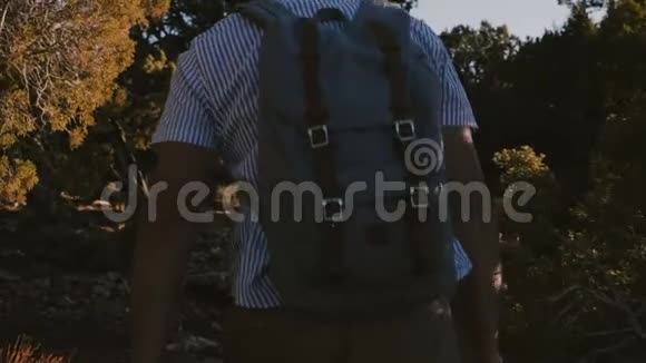 慢动作背景拍摄快乐活跃的年轻男性游客徒步旅行与背包在美丽的夏季日落森林视频的预览图