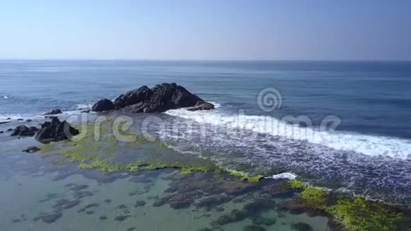 白色的海浪在海草的海岸上翻滚视频的预览图