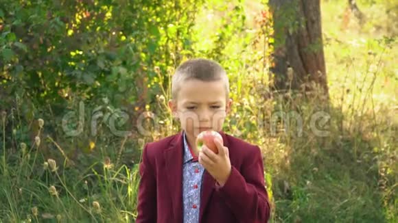 这个男孩正在吃苹果视频的预览图