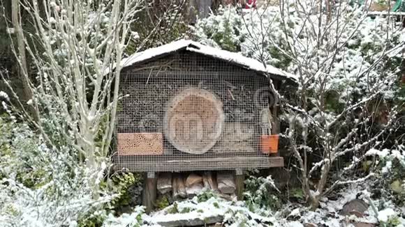 冬季野生蜜蜂昆虫酒店在花园里下雪视频的预览图