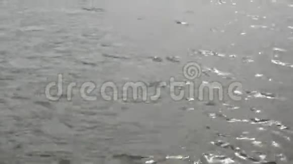 沿水面湖泊乘船从左到右移动视频的预览图